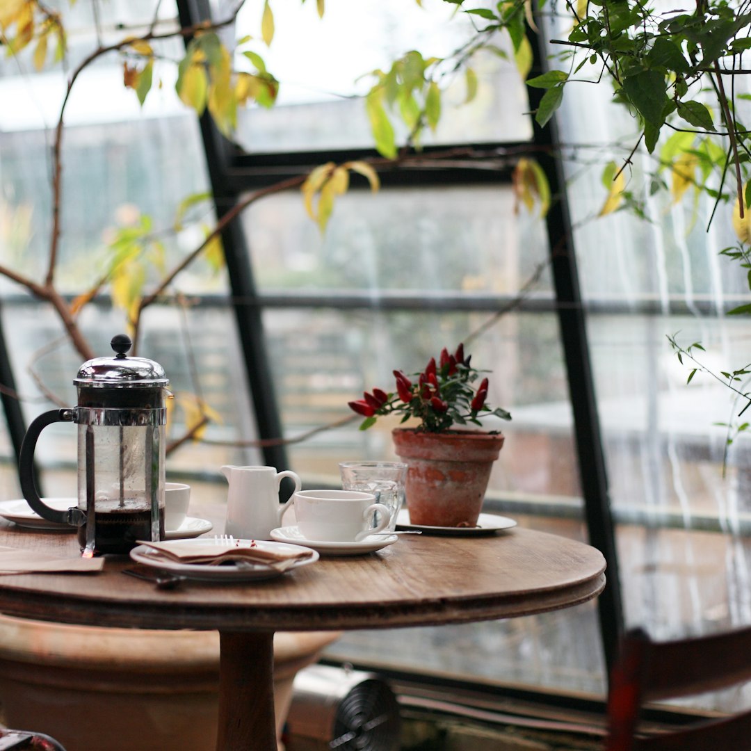 Cozy window table with a french press inside a plant-filled Pasadena cafe